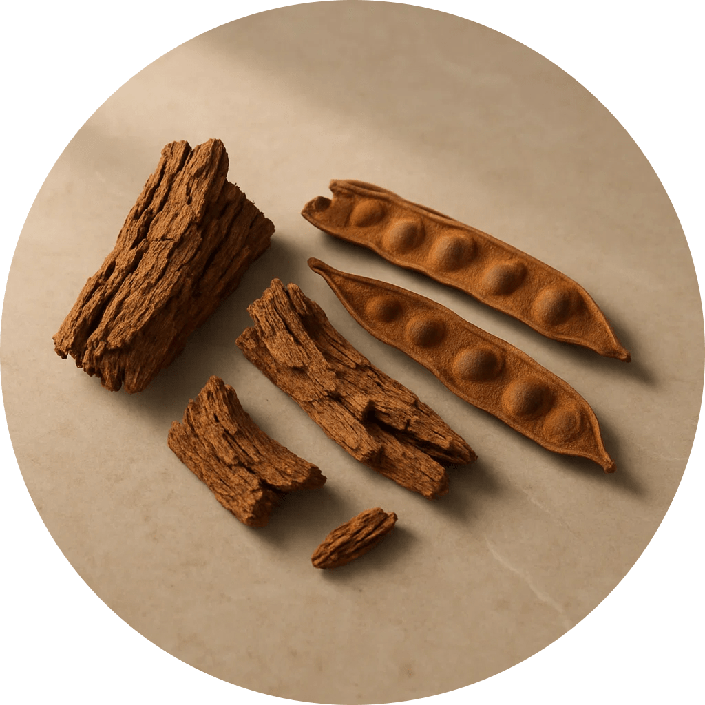 Acacia fiber