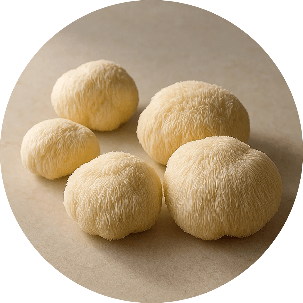 Ekologisk Lion’s Mane